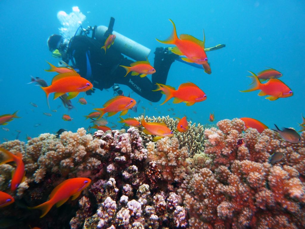 Clark Weeks scuba diving - cook islands