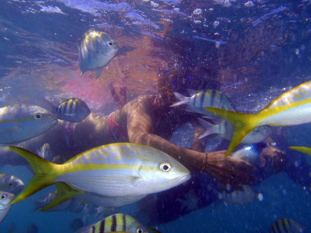 Scuba Diving in Cuba